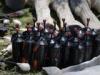 Syria says seized Hezbollah-bound arms on Iraq border