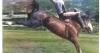 Smokey Anderson: A life lived in the saddle