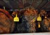 Welfare activists petition High Court in bid to end live animal shipments