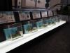 Issue Spotlight: What Arkansas gubernatorial candidates say about legalizing recreational marijuana