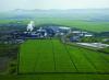 Sugar industry hits E8bn revenue despite market squeeze
