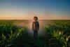 UNICEF Report Finds Widespread Pesticide Exposure Among Children, Cites Health Risks