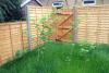 Wakefield a 'hotspot' for damaging Japanese knotweed - here's how to spot it