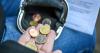 Precarious work leads to a rapid increase in ‘vulnerable jobs’ rate in Ireland