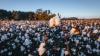 As Sustainability Concerns Rise, Consumers Favor Cotton as the Safest Fiber