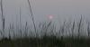Smoke and heat hit Northern Virginia; air quality alert in effect