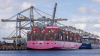 Rotterdam reflects Europe's changing trade relationship with China