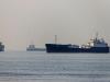 Why Is Govt Asking Shipping Companies To Avoid Deploying Indians In Strait of Hormuz?