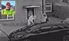 Moment 'psychotic' Afghan migrant stabs dog walker to death at random as he's found guilty of the attempted murder of his landlord