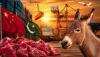 Pakistan’s First Donkey Meat Export to China to woo fresh investment