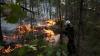 Macron toughens stance on arson as wildfires sweep France