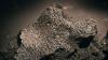 Meteorite that crashed New Jersey home contains extraterrestrial amino acids