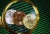 Organised crime groups move billions through crypto, global financial crime watchdog warns