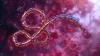 Americans in DRC will no longer be able to fly directly to US amid Ebola outbreak