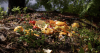 North Carolina expands farm protections to composting sites