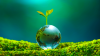 China holds Global Mayors Dialogue 2026 for green cooperation