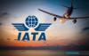 Business : Asia Pacific Dominates Ranking Of  World's Busiest Airport Pairs