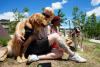 Is it safe for dogs to be outside on smoky days? Researcher hunts for answers