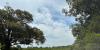 Irwin County homeowners sue over proposed 2,000-acre solar farm tied to NextEra Energy