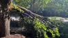 Financial aid available for Naperville, Chicagoland following June storms