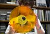 Cheapo Records has long been a cultural ‘anchor’ in Central Square. What’s the secret to its longevity?