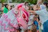  41st Annual Oregon Asian Celebration 
