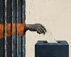 “Vote in Her Honor” campaign challenges Illinois prison voting ban