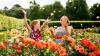 One of Dublin's most anticipated summer events returns to the Northside this weekend