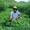 Early farmer impressions from the Water & Soil Accelerator Program in Central Malawi