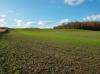 New York State Soil and Water Conservation Committee to Meet July...