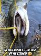 This Massive Musky Shocked Fishermen in New York State