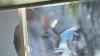 Records reveal why Florida CFO's office sent armed agents to Largo home over political postcard