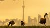 Michigan Republicans blast Canada over wildfire smoke, air quality in U.S.