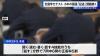 National Academic Test Shows Persistent Writing Challenges in Japanese