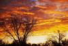 Colorado Heat: Grand Junction's Record High May Surprise You