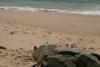 On the List: Jersey Shore Nude Beach Named One of Best in America