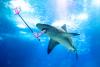 Wild animals don’t exist for your social media content
