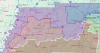 Tennessee redrew its congressional map. Here's who's on your primary ballot.