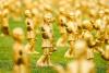 A horde of tiny golden Mozarts take over Salzburg