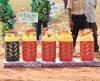 Zulum rolls out free gas cylinders to 23,700 teachers, environmental vanguards