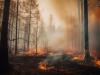 Climate extremes fuel explosive wildfires in Canada and the U.S., experts say