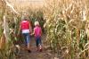 Indiana’s Largest Corn Maze Just Revealed its Amazing 2026 Design