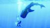 When Giants Return to Oman’s Waters