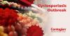 <![CDATA[Cyclosporiasis: When to Seek Medical Care, Duration of Illness, and Preventive Measures]]>
