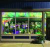 New Orleans themed cat café coming to Springville