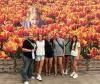 Washakie County youth gain global perspectives through an agricultural tour of Belgium and the Netherlands