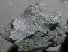 This Meteorite Crashed Into a New Jersey Home in 2024. Now, Scientists Say It Contains Some of the Building Blocks of Life