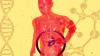 Gastroenterologist Dr Kalayarasan Raja warns ‘silent liver disease’ is rising in young adults; know causes and signs