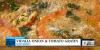 Recipe: Vidalia Onion & Tomato Gratin