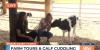 Suncoast View visits Dakin Dairy Farms to learn about life on a working dairy